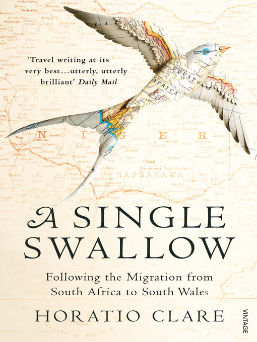 A Single Swallow (eBook): An Epic Journey From South Africa To South Wales